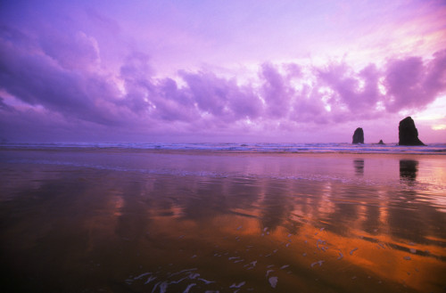 Ocean Sunset, Needle Rocks, Cannon Beach PosterPrint - Item # VARDPI1788452