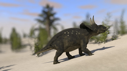 Triceratops roaming a prehistoric landscape Poster Print - Item # VARPSTKVA600349P