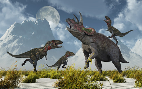 A pack of carnivorous Nanotyrannus dinosaurs attacking a lone Triceratops during the Cretaceous Period Poster Print - Item # VARPSTMAS600002P