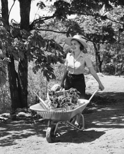 Young woman pushing a wheelbarrow with gardening tools in it Poster Print - Item # VARSAL25532218