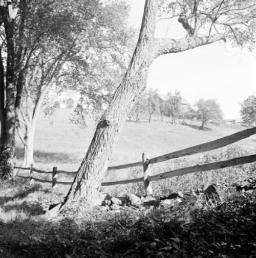 USA  Connecticut  Hartford  Rural landscape Poster Print - Item # VARSAL255423703
