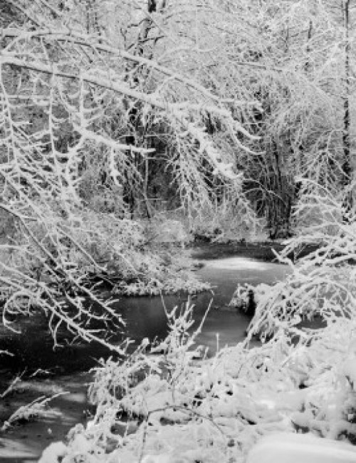 USA  Massachusetts  Assonet  winter scene with brook Poster Print - Item # VARSAL255423181