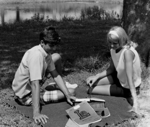Teenage couple studying under tree Poster Print - Item # VARSAL255424953