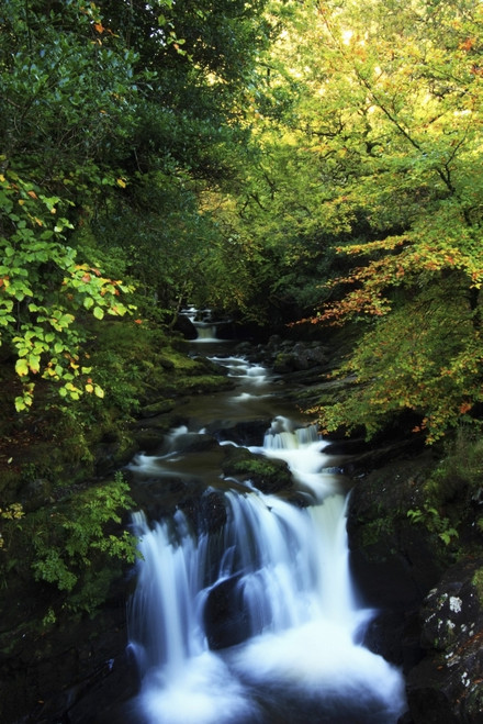 Torc Waterfall, Killarney National Park, County Kerry, Ireland PosterPrint - Item # VARDPI1844918