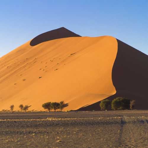 Sand Dune, Namibia, Africa PosterPrint - Item # VARDPI1831502