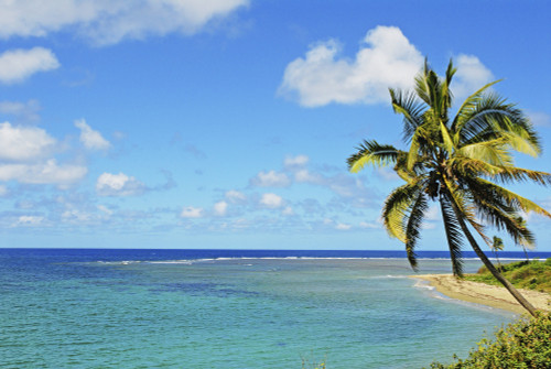 Fiji, Blue And Turquoise Ocean With Palm Tree And Sandy Beach. PosterPrint - Item # VARDPI1985668