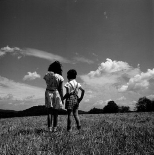 Brother and sister standing on pasture and holding hands  rear view Poster Print - Item # VARSAL255424560