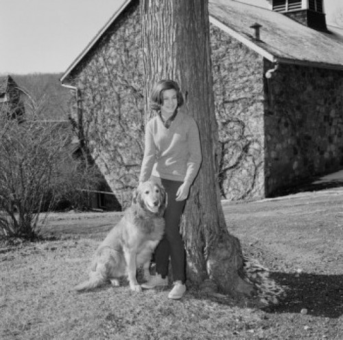 Woman with dog in backyard Poster Print - Item # VARSAL255422725