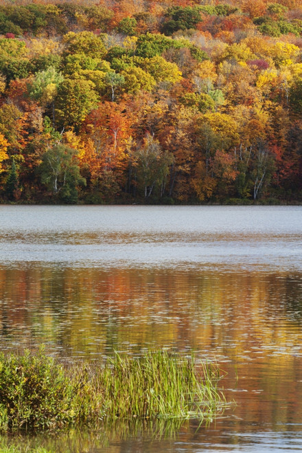 Reflection Of Autumn Colors In A Lake; Ontario, Canada PosterPrint - Item # VARDPI1900661