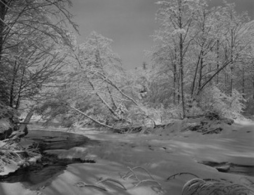Winter scene in Cascade Mountains Poster Print