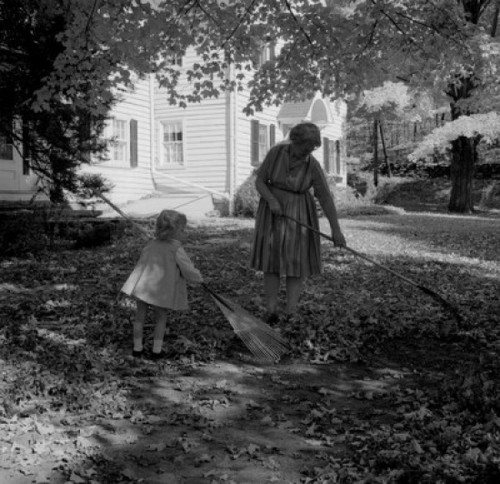 Grandmother with granddaughter raking leaves in garden Poster Print - Item # VARSAL255416396
