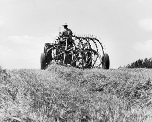 Farmer sitting on a tractor in a hay field Poster Print - Item # VARSAL25530513