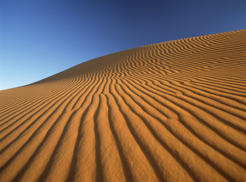 Morocco, Detail of sand dune at dawn in Erg Chebbi area; Sahara Desert near Merzouga PosterPrint - Item # VARDPI2297341