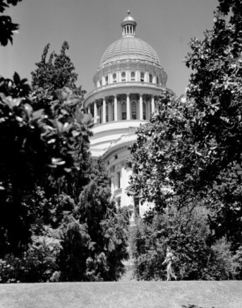 USA  California  Sacramento  Capitol Park  State Capitol Building Poster Print - Item # VARSAL255416312