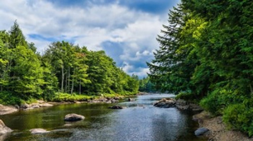 Moose River in the Adirondack Mountains  New York State  USA Poster Print by Panoramic Images (36 x 20) - Item # PPI144884