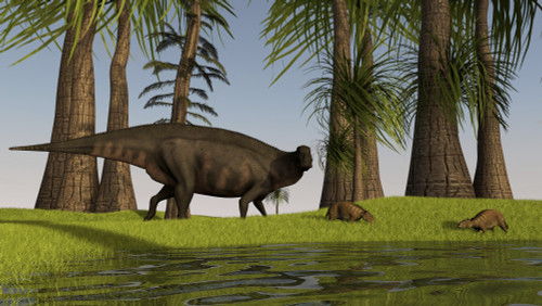 A large Shuangmiaosaurus dinosaur grazing a nearby swamp along with two Eurohippus Poster Print - Item # VARPSTKVA600553P