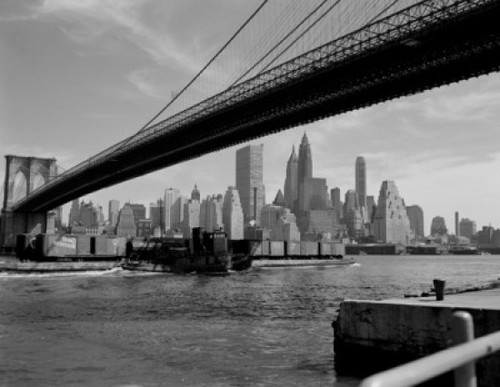 USA  New York State  New York City  Manhattan skyline Poster Print - Item # VARSAL255420723