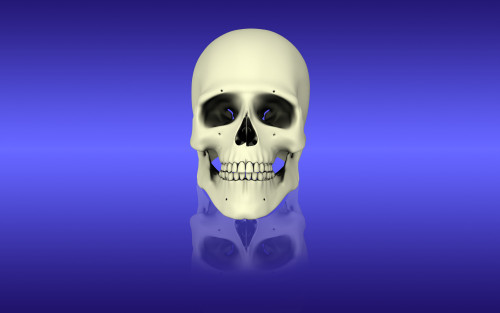 Conceptual view of human skull Poster Print - Item # VARPSTSTK700086H