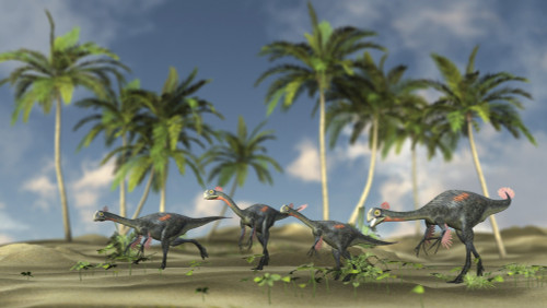 Herd of Gigantoraptors Poster Print - Item # VARPSTKVA600466P