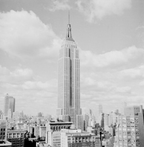 USA  New York City  Empire State Building Poster Print - Item # VARSAL255424410