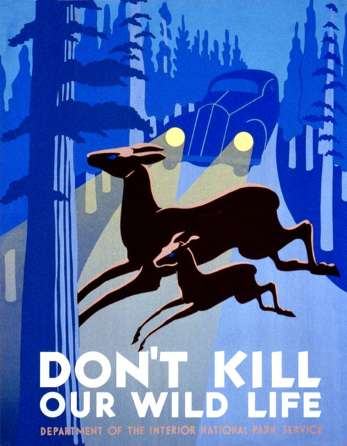 Wildlife Protection, FAP Poster, 1940 Poster Print by Science Source - Item # VARSCIJC3065