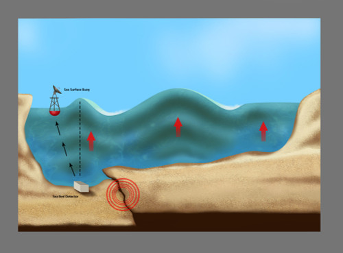 Tsunami Warning Diagram Poster Print by Gwen Shockey/Science Source - Item # VARSCIBV6947