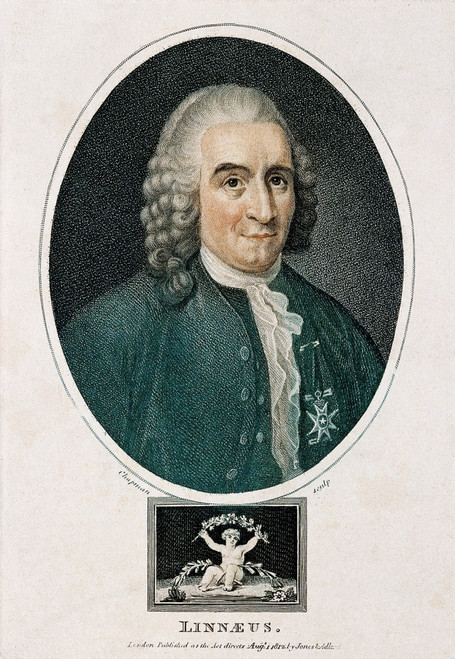 Carl Linnaeus, Swedish Botanist, 1775 Poster Print by Science Source - Item # VARSCIJC2928