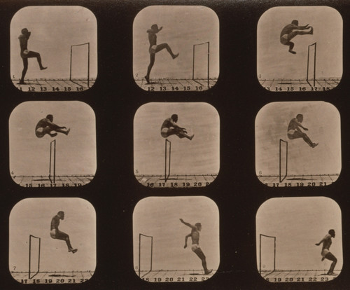 Muybridge Locomotion, Man Jumping Hurdle, 1881 Poster Print by Science Source - Item # VARSCIBW2503