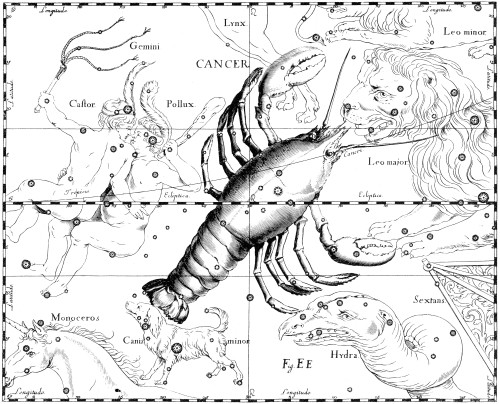 Cancer Constellation, Zodiac Sign, Hevelius Poster Print by Science Source - Item # VARSCIBX9580