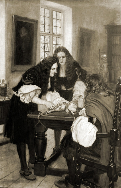 Christopher Wren Injects Drugs into Vein, 1667 Poster Print by Science Source - Item # VARSCIJB7982