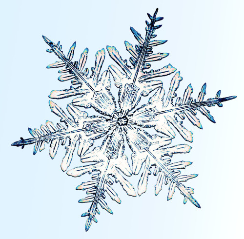 Snowflake Poster Print by Science Source - Item # VARSCIBQ7543