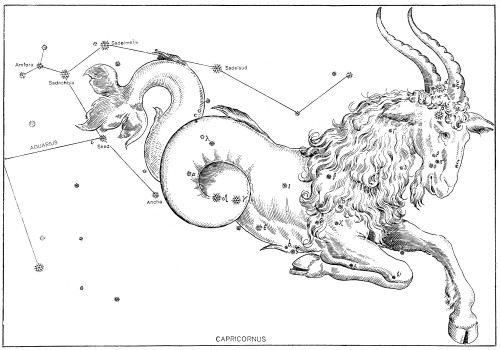 Capricornus Constellation, Zodiac Sign, Bayer Poster Print by Science Source - Item # VARSCIBX9583