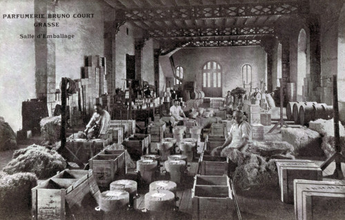 Bruno Court Perfumery Packing Room Poster Print by Science Source - Item # VARSCIBY5701