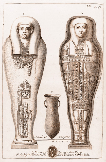 Egyptian Mummy, Illustration Poster Print by Science Source - Item # VARSCIJC6661