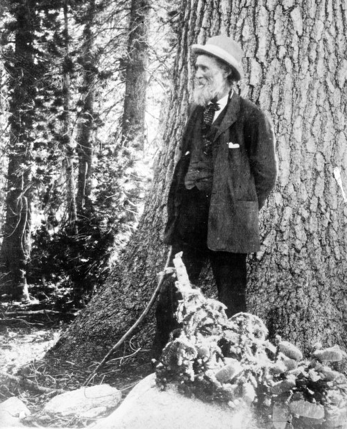 John Muir, Scottish-American Naturalist Poster Print by Science Source - Item # VARSCIBV5514