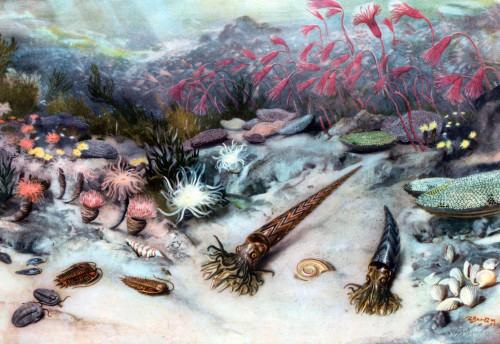 Silurian Seascape Poster Print by Science Source - Item # VARSCIBX2473
