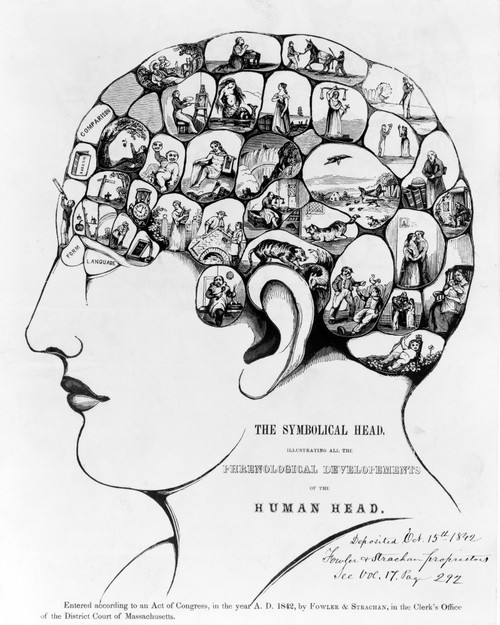 Phrenology, The Symbolical Head, 1842 Poster Print by Science Source - Item # VARSCIBV5537