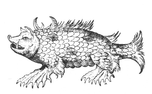 Marine Sow, Sea Monster, 16th Century Poster Print by Science Source - Item # VARSCI9N3045