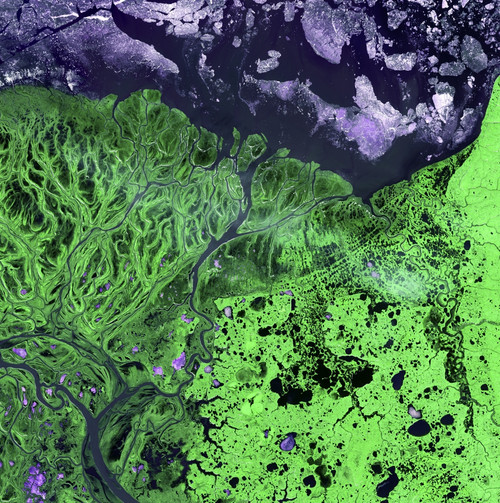 Yukon Delta, Alaska Poster Print by Science Source