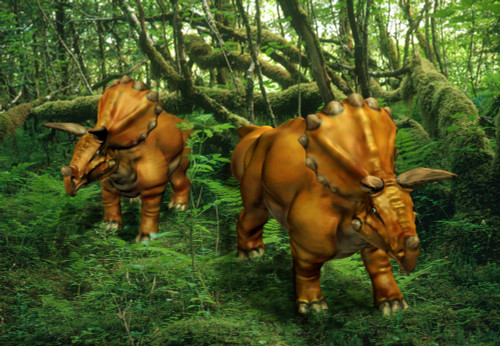 Triceratops Illustration Poster Print by Spencer Sutton/Science Source - Item # VARSCIJB2325