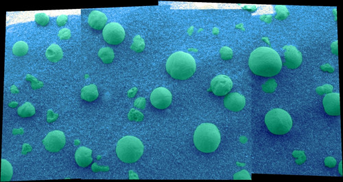 Martian soil Poster Print by Science Source - Item # VARSCIBT9698