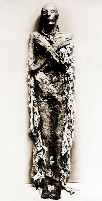 Unwrapped Mummy of Ramesses II Poster Print by Science Source - Item # VARSCIJC6670