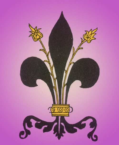Fleur-de-Lis Poster Print by Science Source - Item # VARSCIBP6322