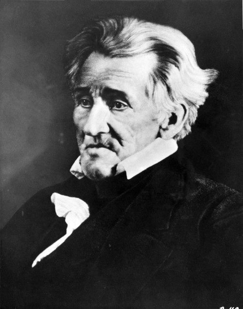 Andrew Jackson, 7th U.S. President Poster Print by Science Source - Item # VARSCI9A8235