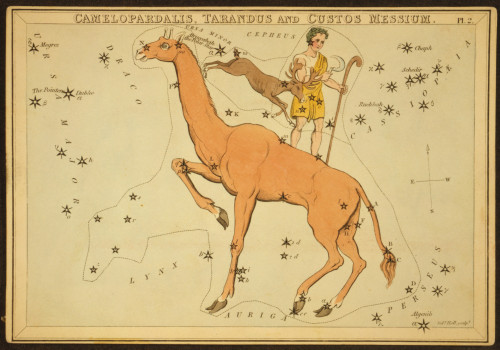 Urania's Mirror Constllations, 1825 Poster Print by Science Source