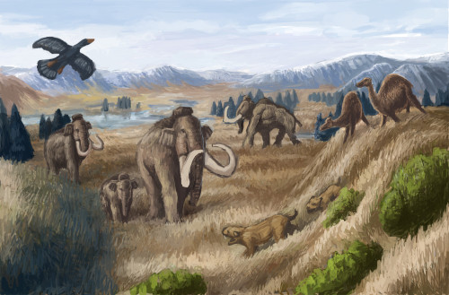 Tertiary Period, Illustration Poster Print by Spencer Sutton/Science Source