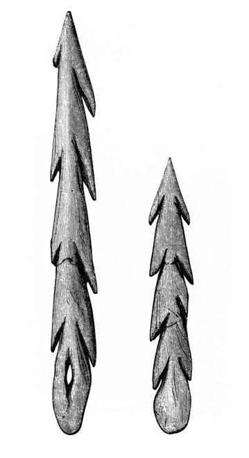 Prehistoric Barbed Point, Scotland Poster Print by Science Source - Item # VARSCIJB4448