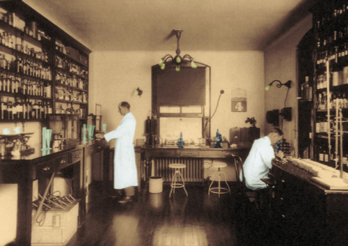 Ellis Island Medical Facilities Poster Print by Science Source - Item # VARSCIBV2120