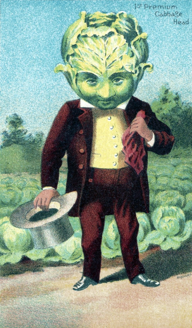 Cabbage, Bufford Vegetable Card, 1887 Poster Print by Science Source