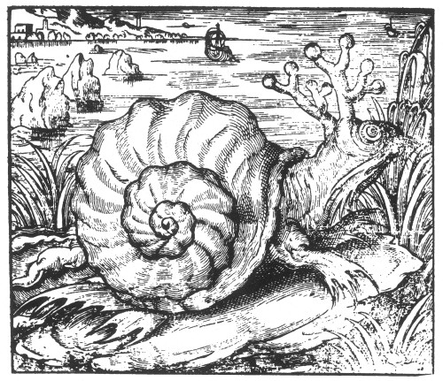 Snail from Sarmatian Sea, Legendary Creature Poster Print by Science Source - Item # VARSCI9N3048